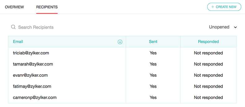 email distribution recipients