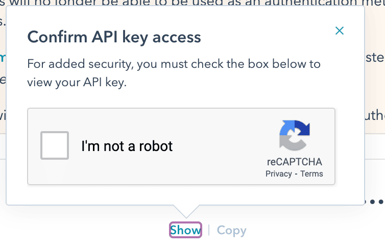 API Key Security Verification
