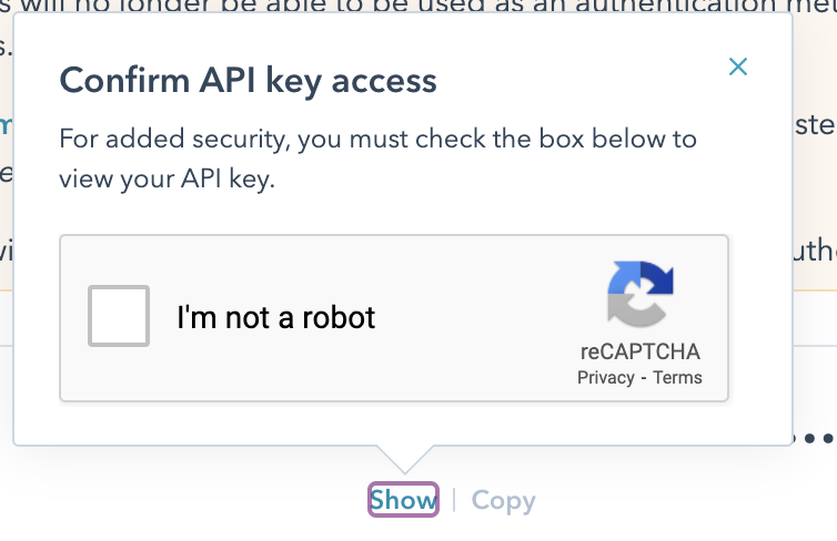 API Key Security Verification
