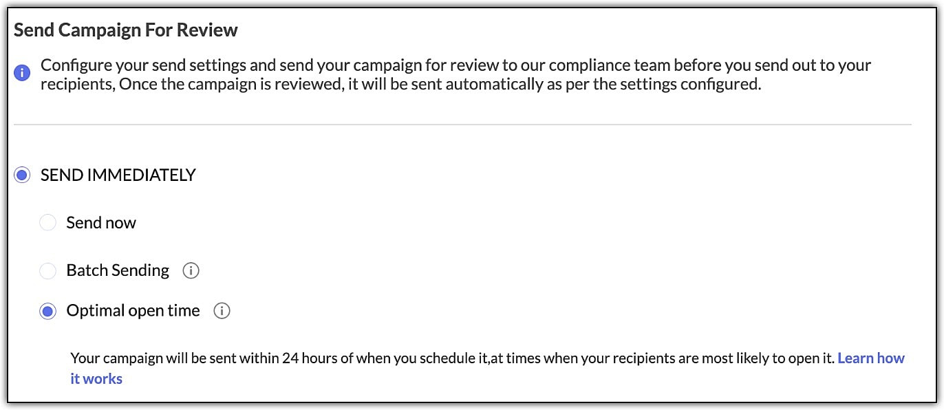 Send email campaign for review
