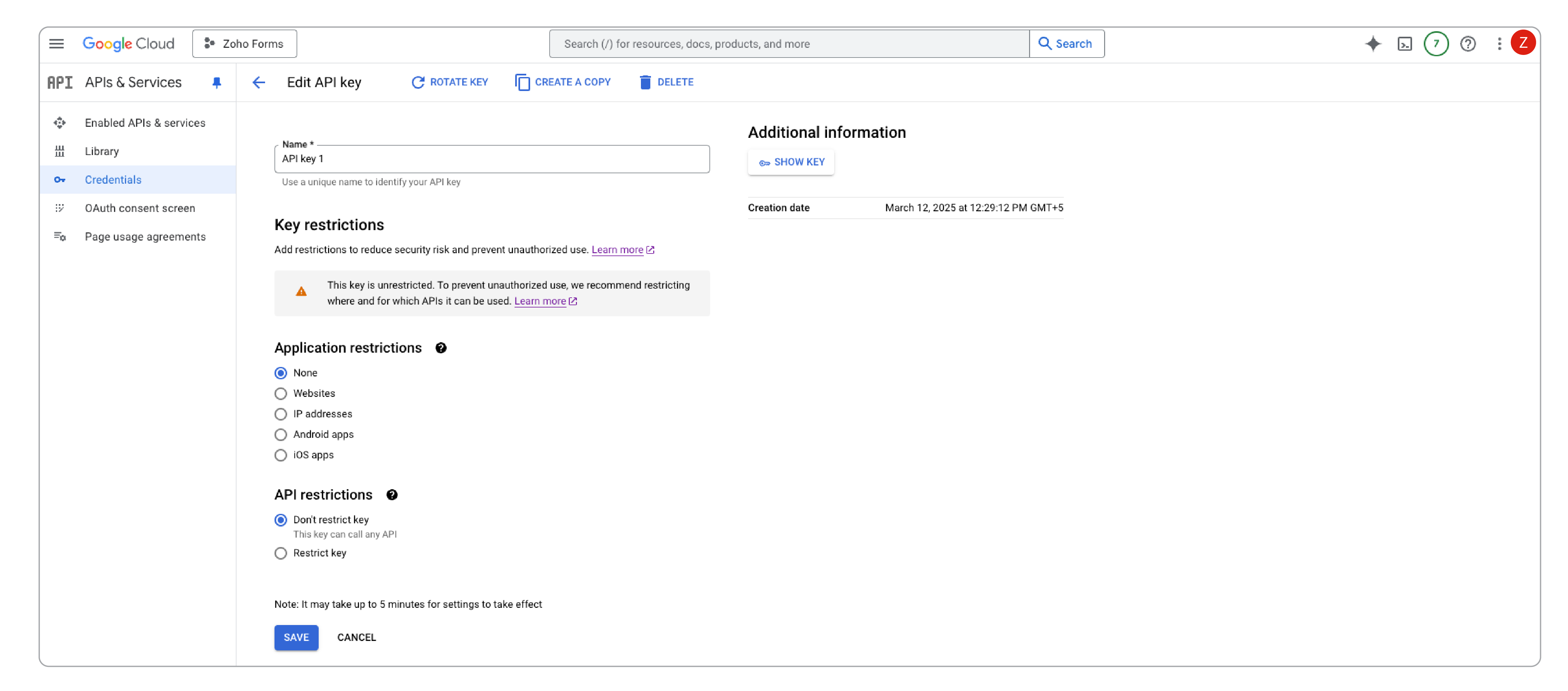 API Key restrictions
