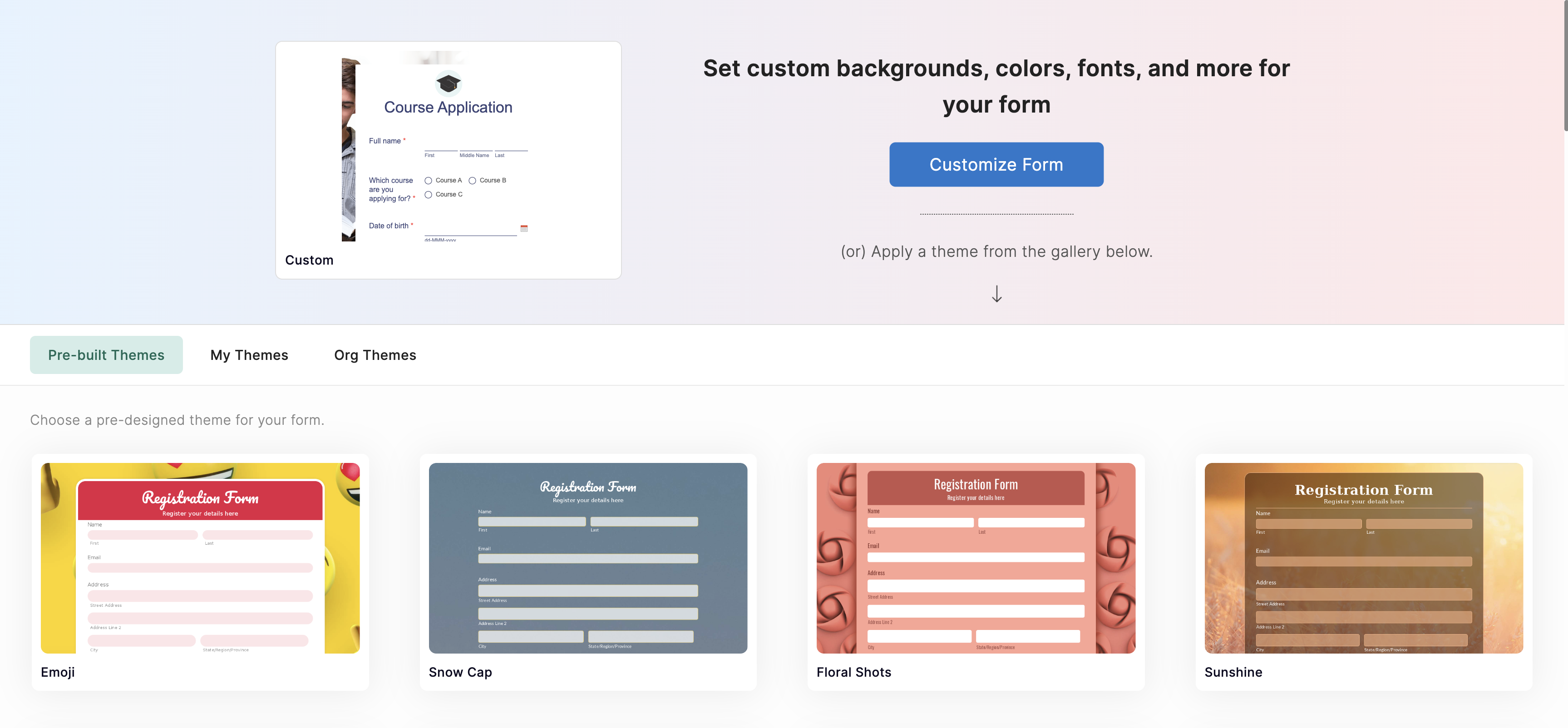 Click Customize Form