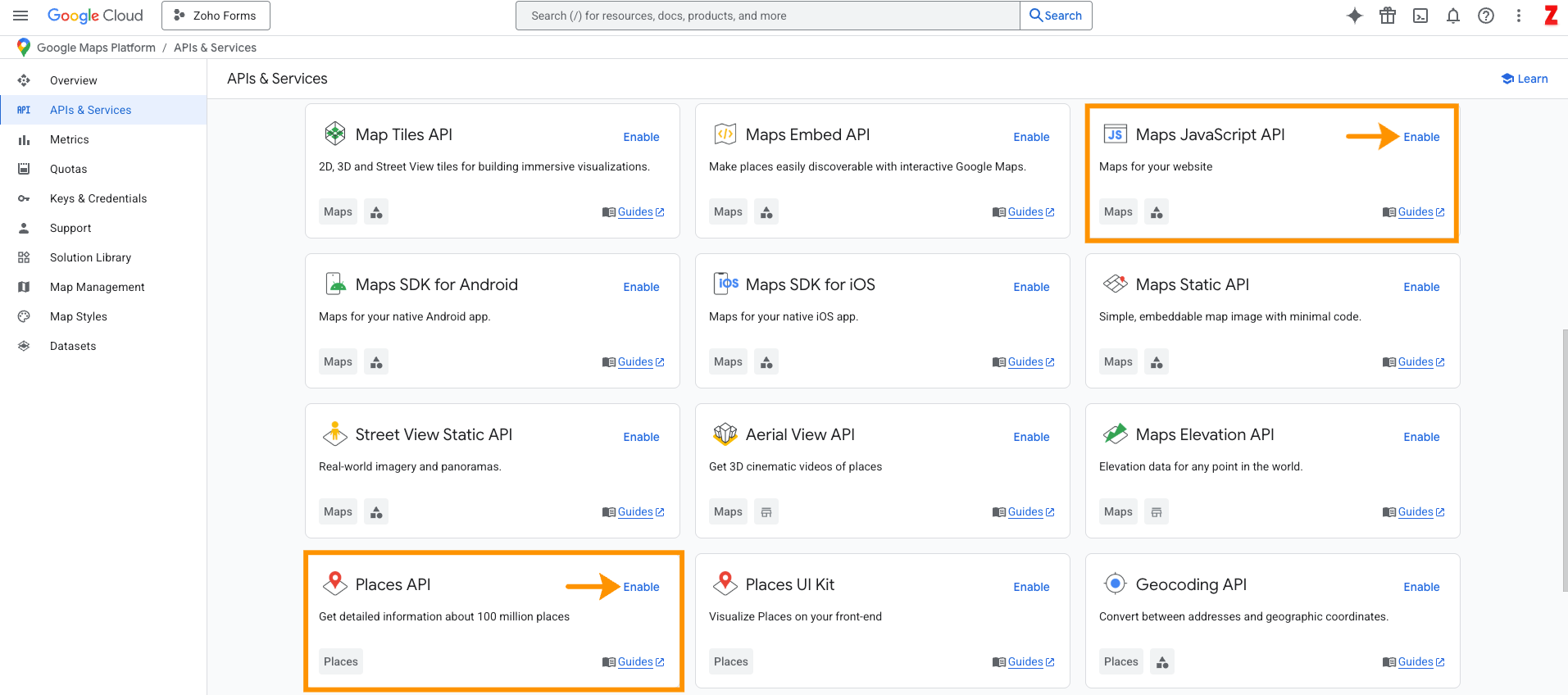 Enable Google APIs for Web App
