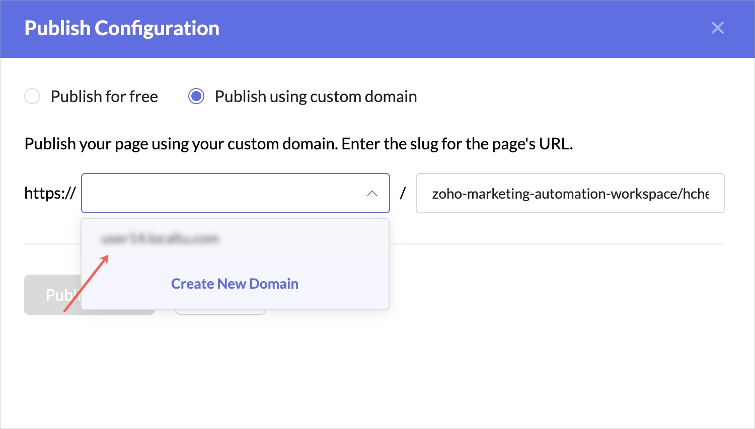 choose custom domain